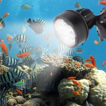 גן אורות LED חיצוני עמיד למים הדשא המנורה 8W נוף ספייק הנורה IP68 גן נתיב זרקורים Bluetooth יישום שליטה מרחוק