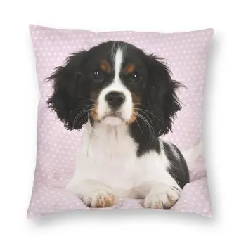 קאבליר קינג צ 'ארלס ספנייל, כלב כרית כיסוי הספה בבית תפאורה חיה בכיכר לזרוק כרית לכסות ס