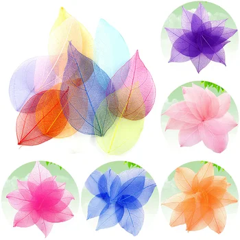 20Pcs עיצוב אלבומים סימניה קישוטים שלד עלים טבעיים מיובשים פרח בעבודת יד דקורטיביים פרחים DIY אמנות 4-9